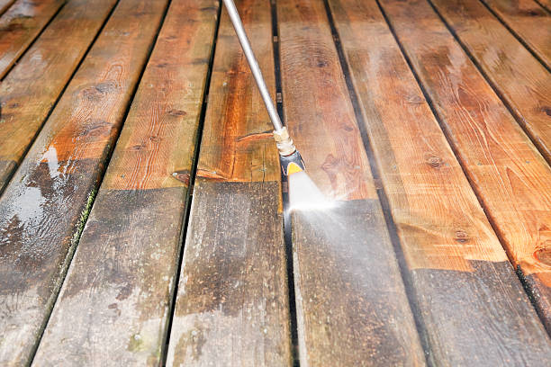 Best Roof Pressure Washing  in Tyndall Af, FL